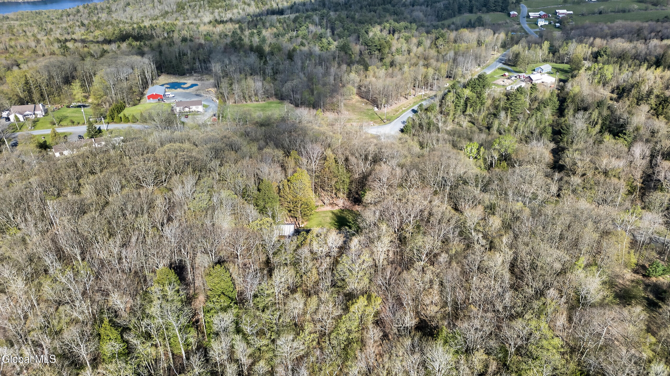 375 Momrow Road Sand Lake, NY 12153 - Photo 34 of 51 Air Yard 4