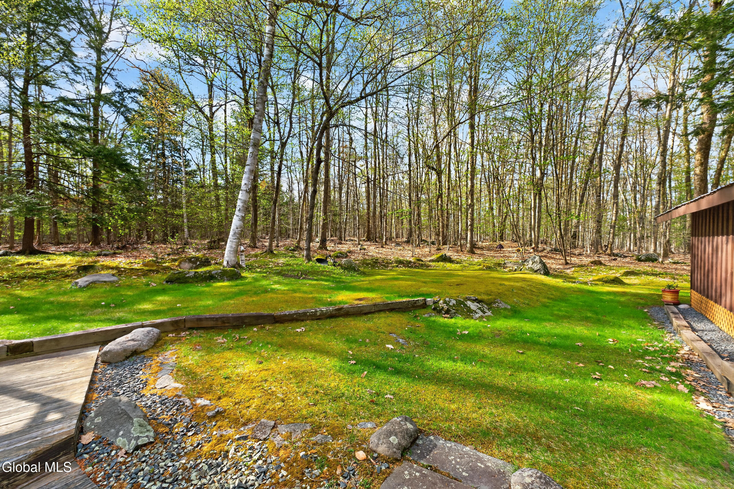 375 Momrow Road Sand Lake, NY 12153 - Photo 40 of 51 Yard 3