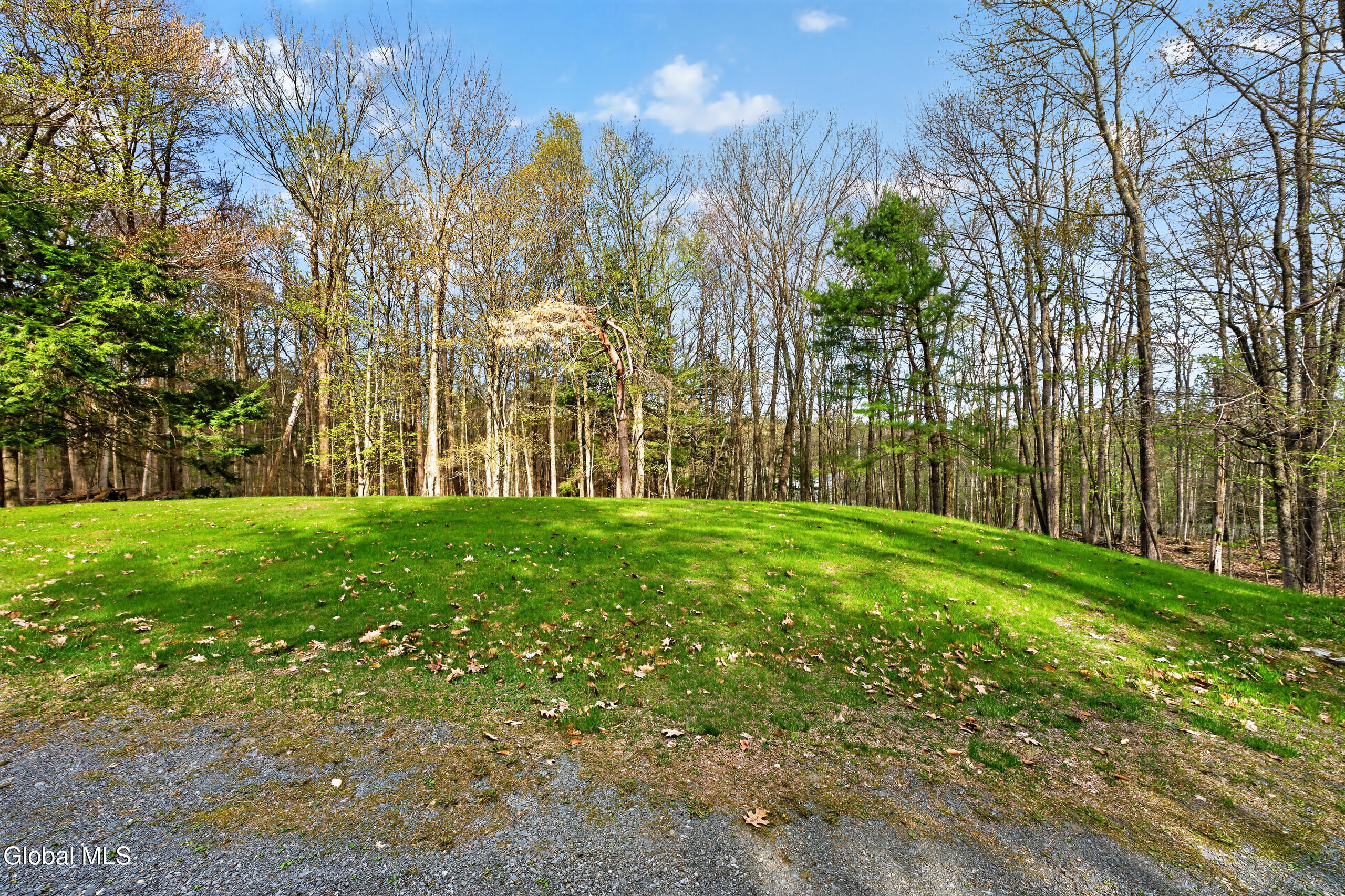 375 Momrow Road Sand Lake, NY 12153 - Photo 44 of 51 Yard 9