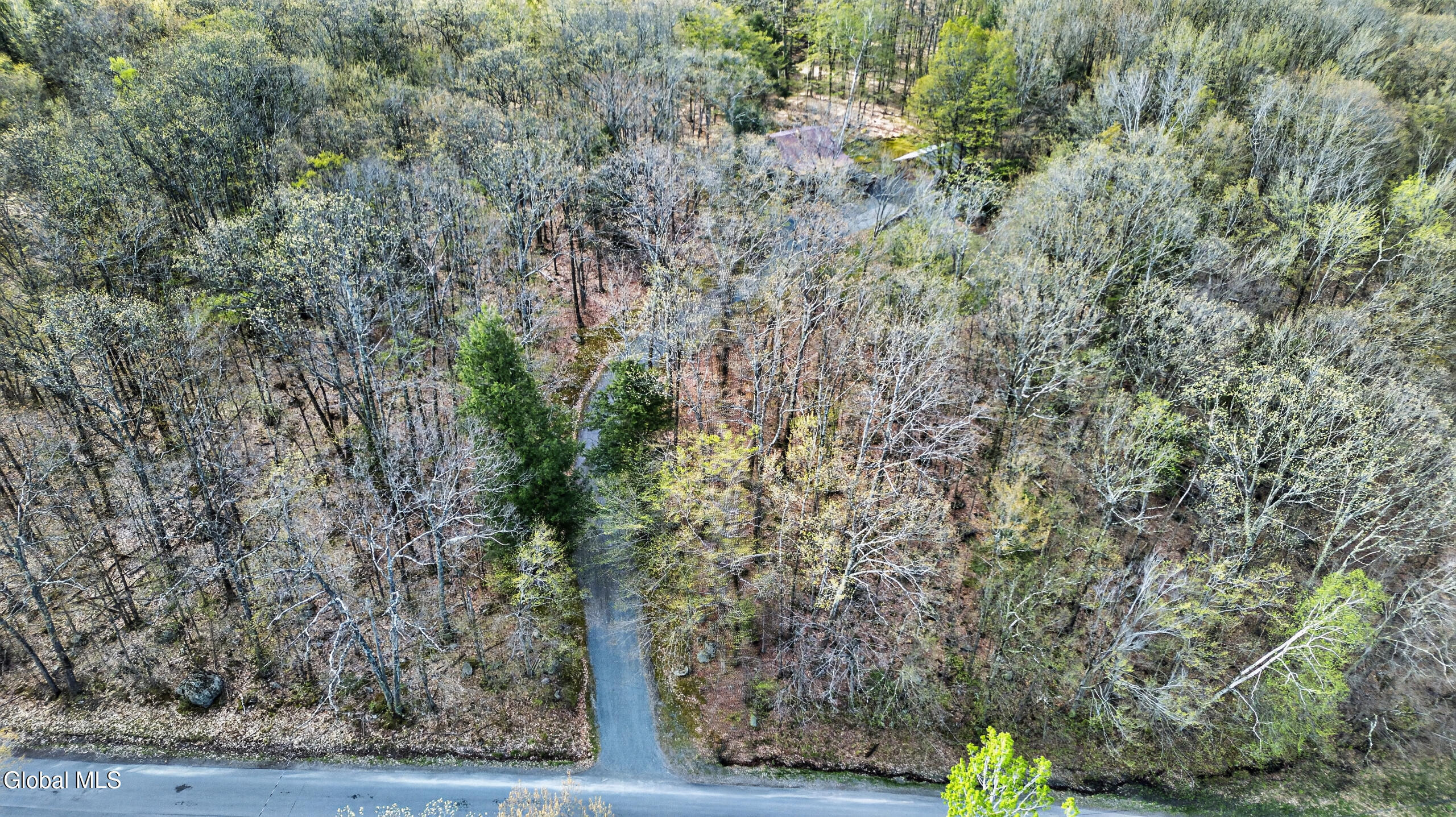 375 Momrow Road Sand Lake, NY 12153 - Photo 5 of 51 0 Air Front 1