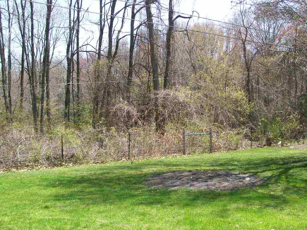 9061 Peters Road Algonac, MI 48001 - Photo 5 of 30 31240815-4.JPG