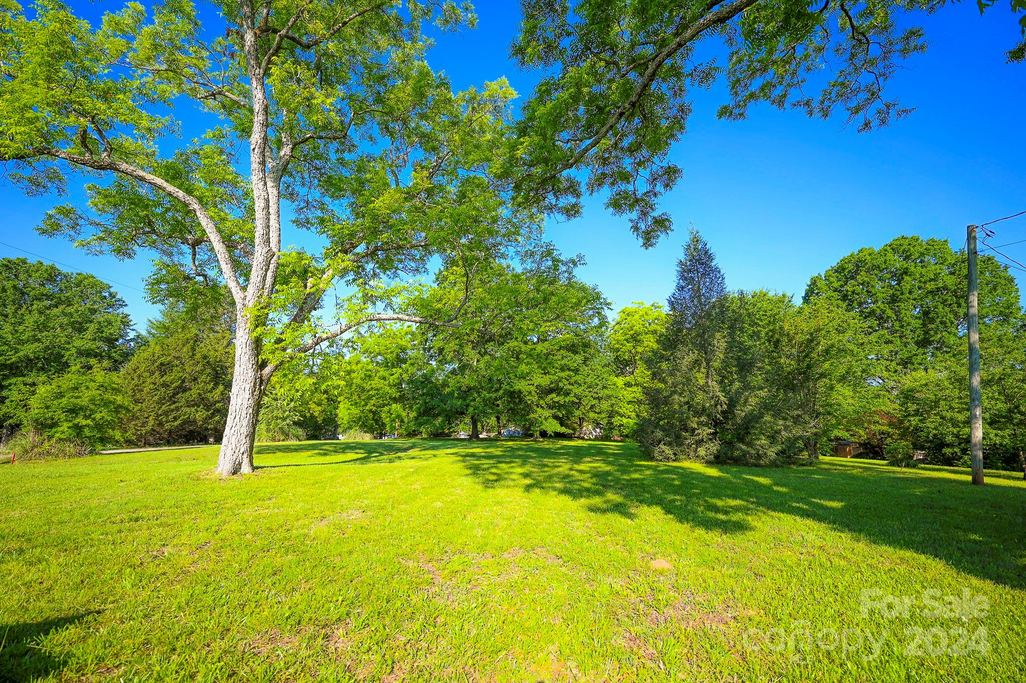 0 Poors Ford Road Rutherfordton, NC 28139 - Photo 3 of 7