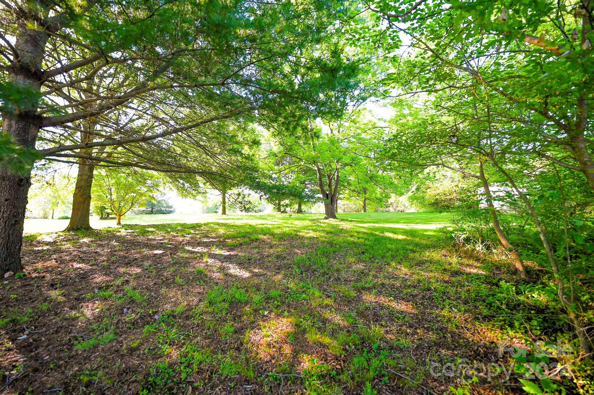 0 Poors Ford Road Rutherfordton, NC 28139 - Photo 4 of 7