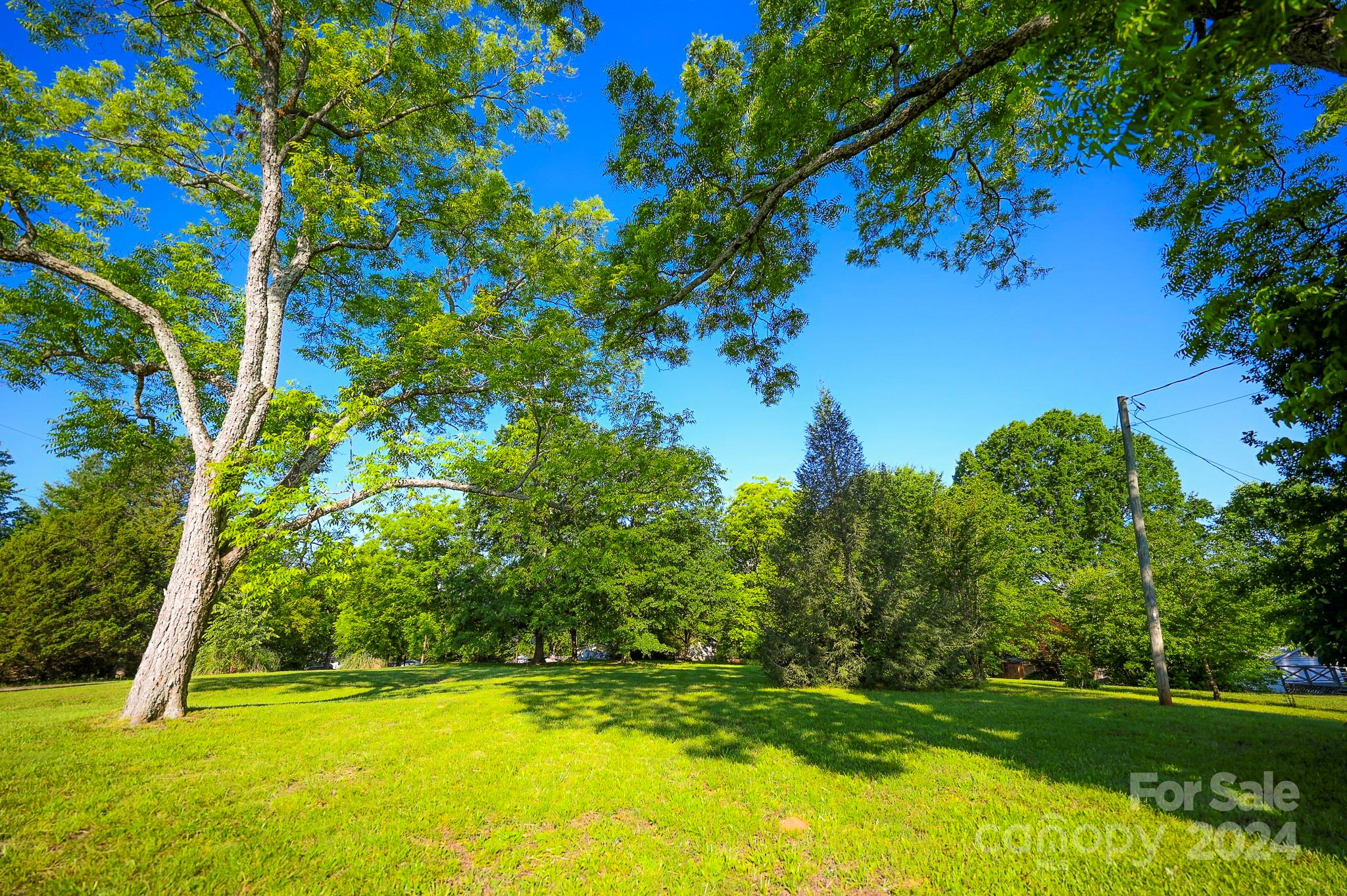 0 Poors Ford Road Rutherfordton, NC 28139 - Photo 5 of 7