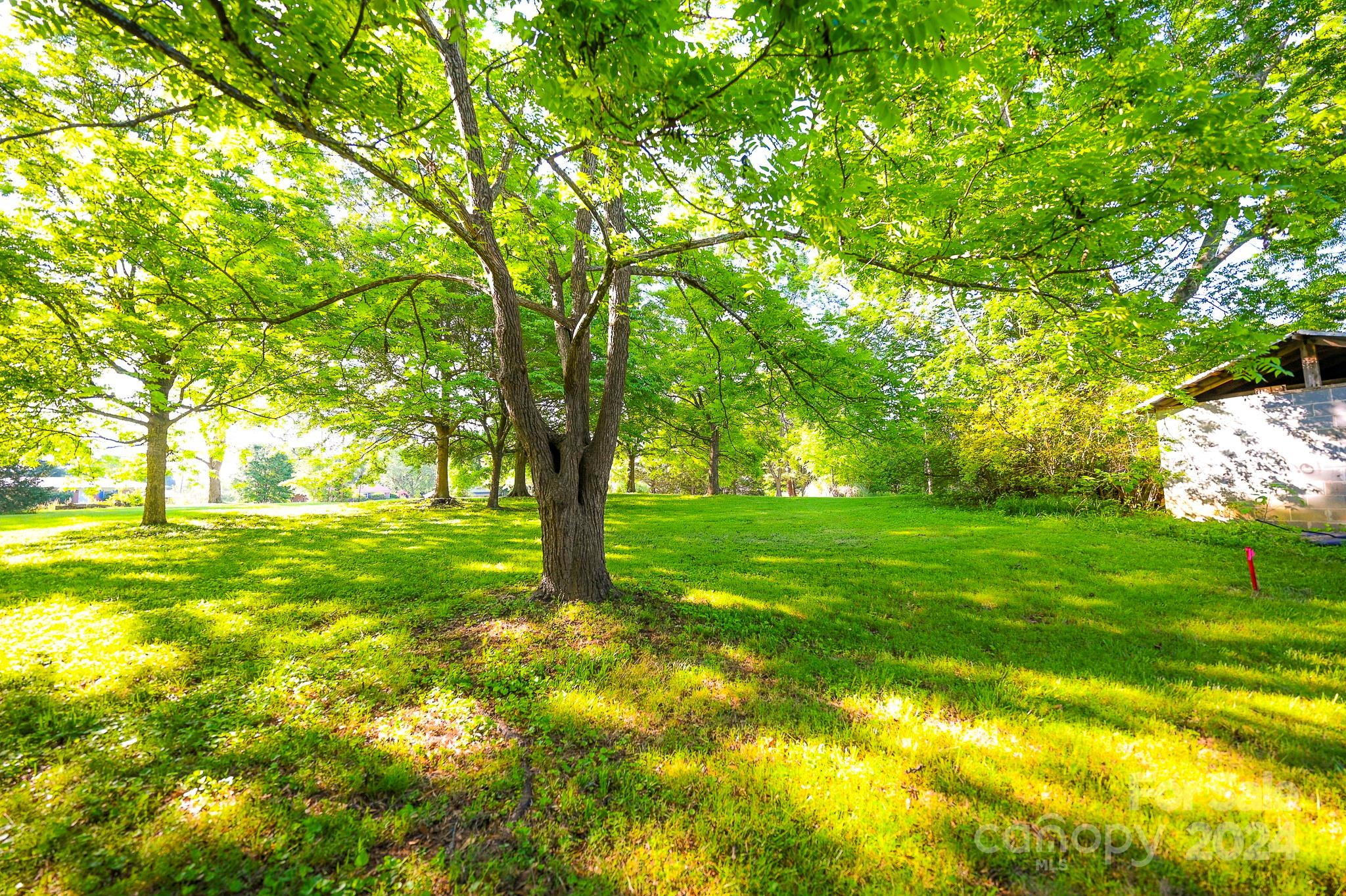 0 Poors Ford Road Rutherfordton, NC 28139 - Photo 6 of 7
