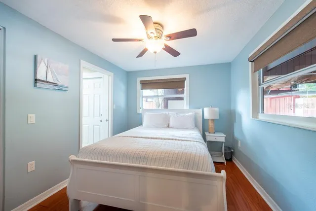 a view of a park with large trees