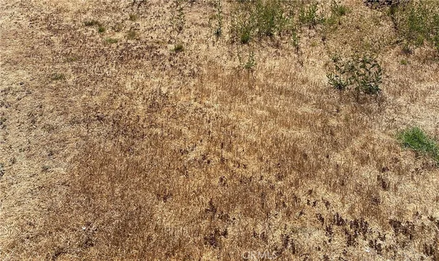 a close up of a wall