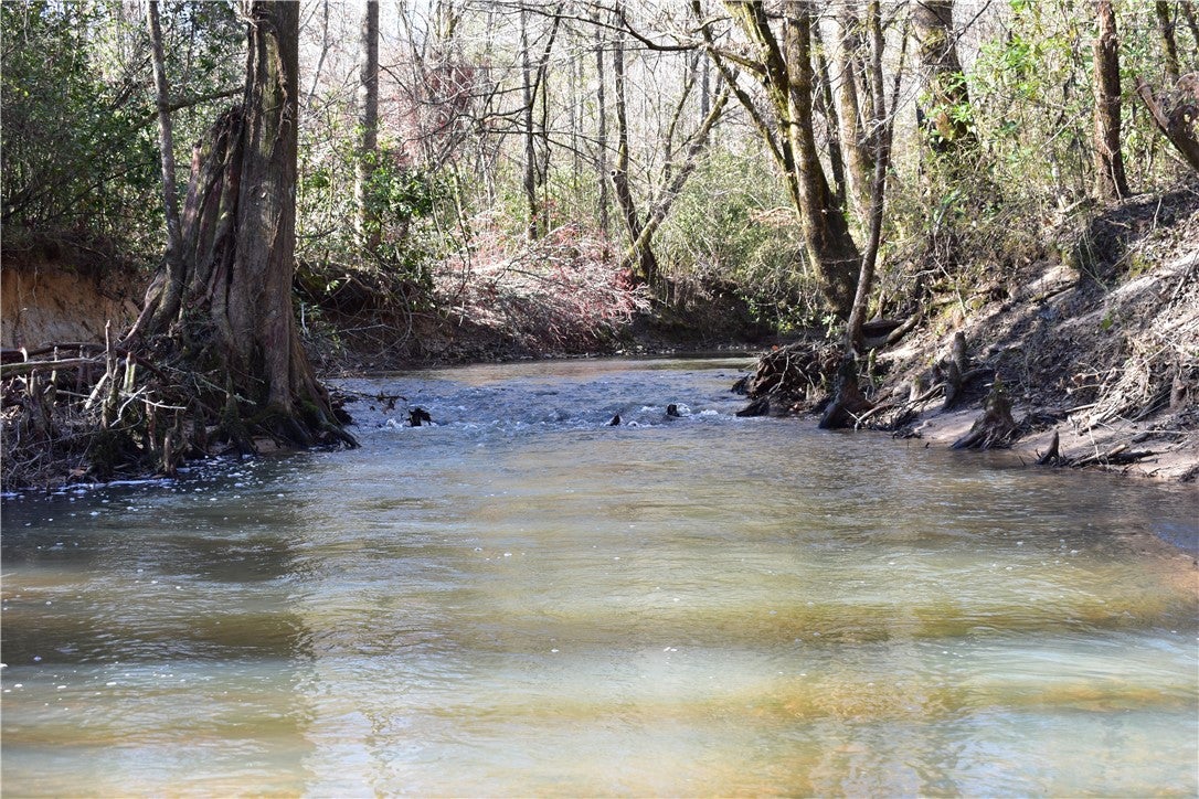 0 Double Bridge Ferry Road Eclectic, AL 36024 - Photo 11 of 11 Gallery Image 11