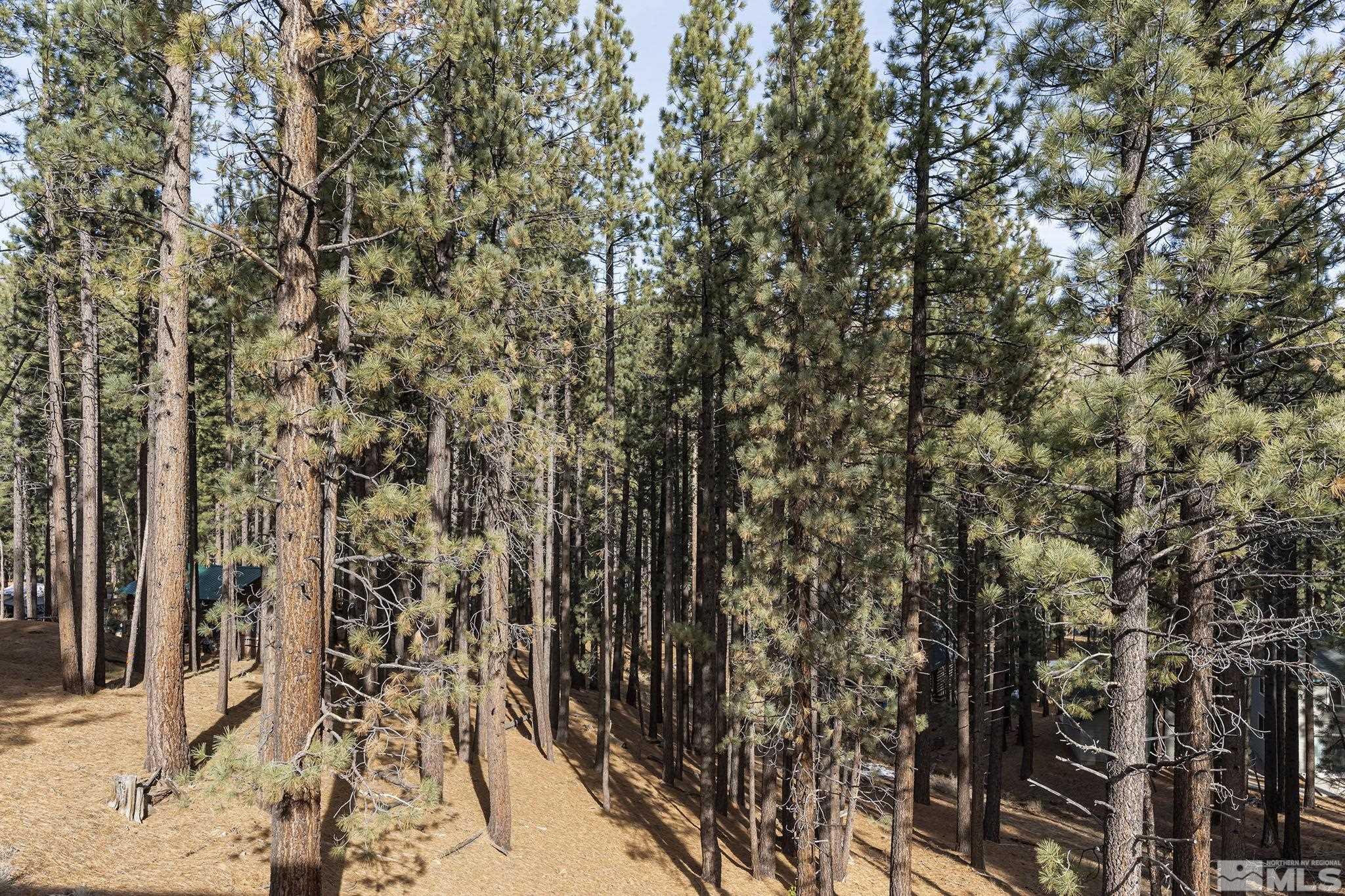 170 Pinon Road Markleeville, CA 96120 - Photo 19 of 32 Photo 19