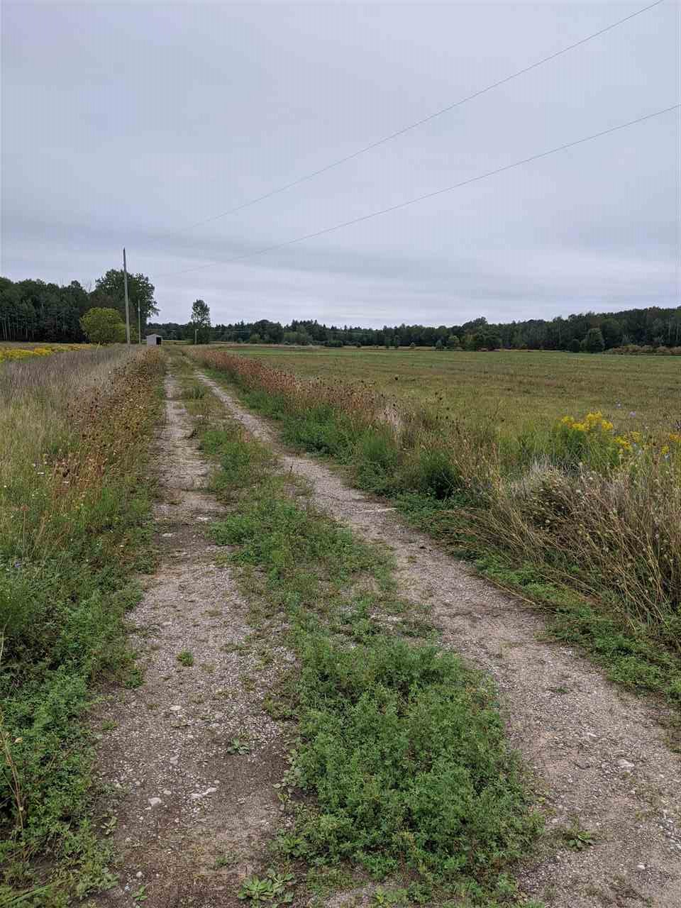 2934 North Flajole Road Rhodes, MI 48652 - Photo 10 of 10