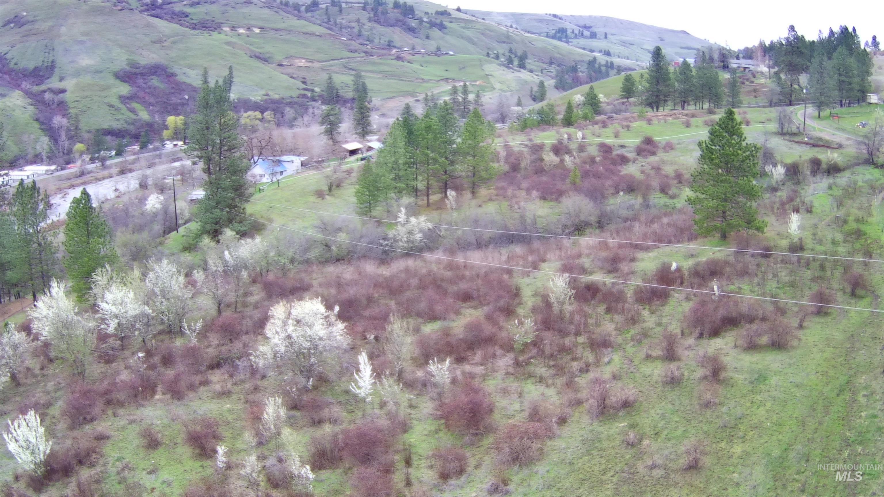 13790 Cross Farm Road Juliaetta, ID 83535 - Photo 6 of 22 View of mountain backdrop with rural landscape