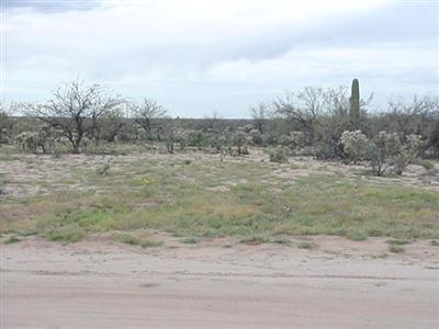 12737 West Hermans Road Tucson, AZ 85736 - Photo 2 of 3