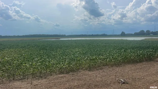 a view of a lake with houses in the back