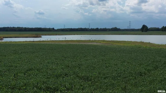 a view of a swimming pool with a yard
