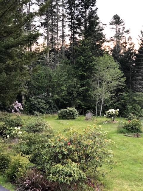 1465 Splinter Ln Bayside Lane Arcata, CA 95521 - Photo 29 of 40