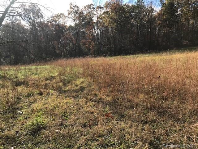 440 Bennett Road Rutherfordton, NC 28139 - Photo 12 of 14 a view of backyard with green space