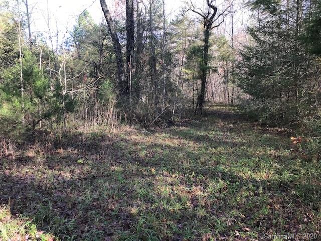 440 Bennett Road Rutherfordton, NC 28139 - Photo 6 of 14 a view of outdoor space and tree