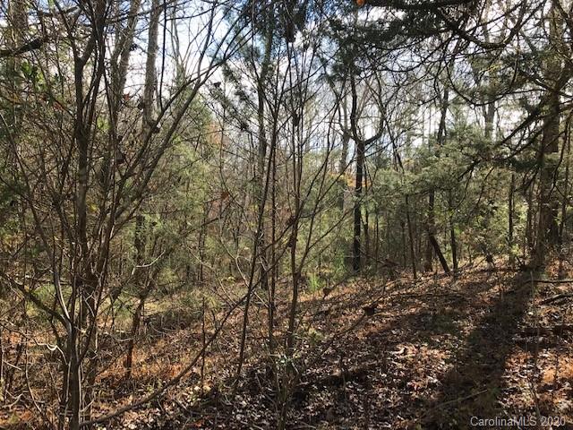 440 Bennett Road Rutherfordton, NC 28139 - Photo 7 of 14 a view of forest