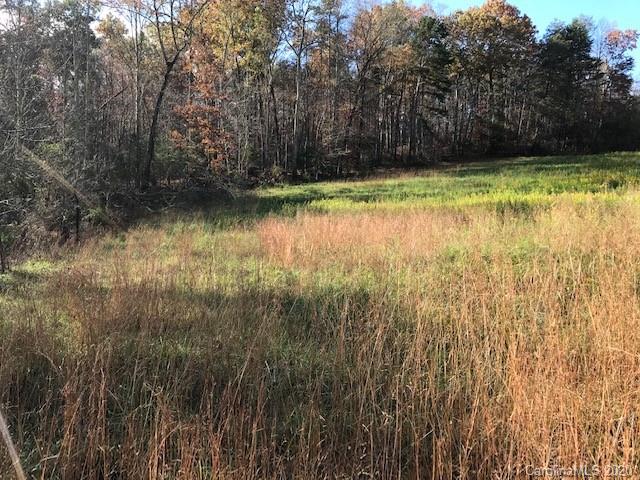 440 Bennett Road Rutherfordton, NC 28139 - Photo 8 of 14 a view of a yard