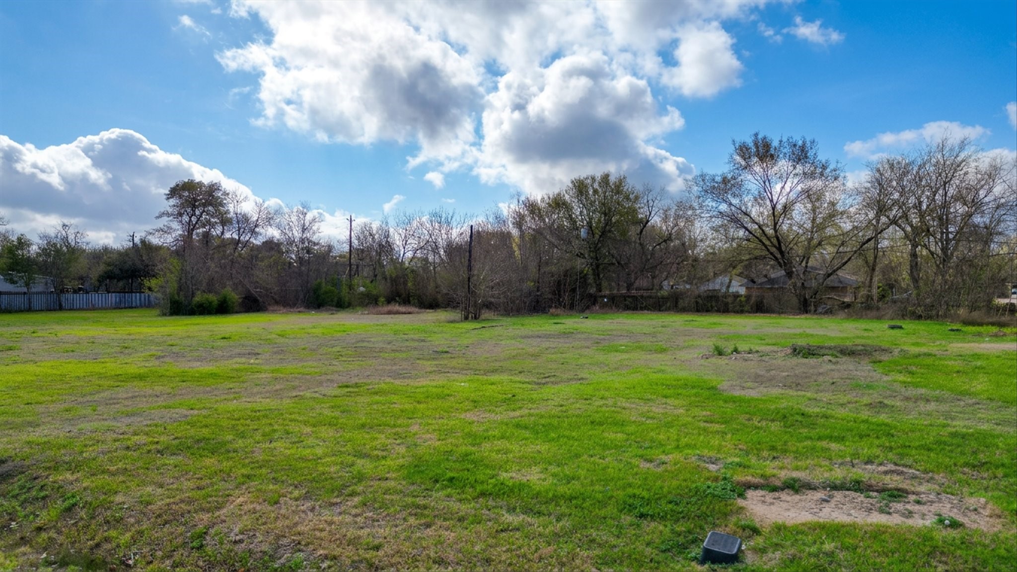 5909 Cypress Street Houston, TX 77074 - Photo 14 of 14 a view of a yard