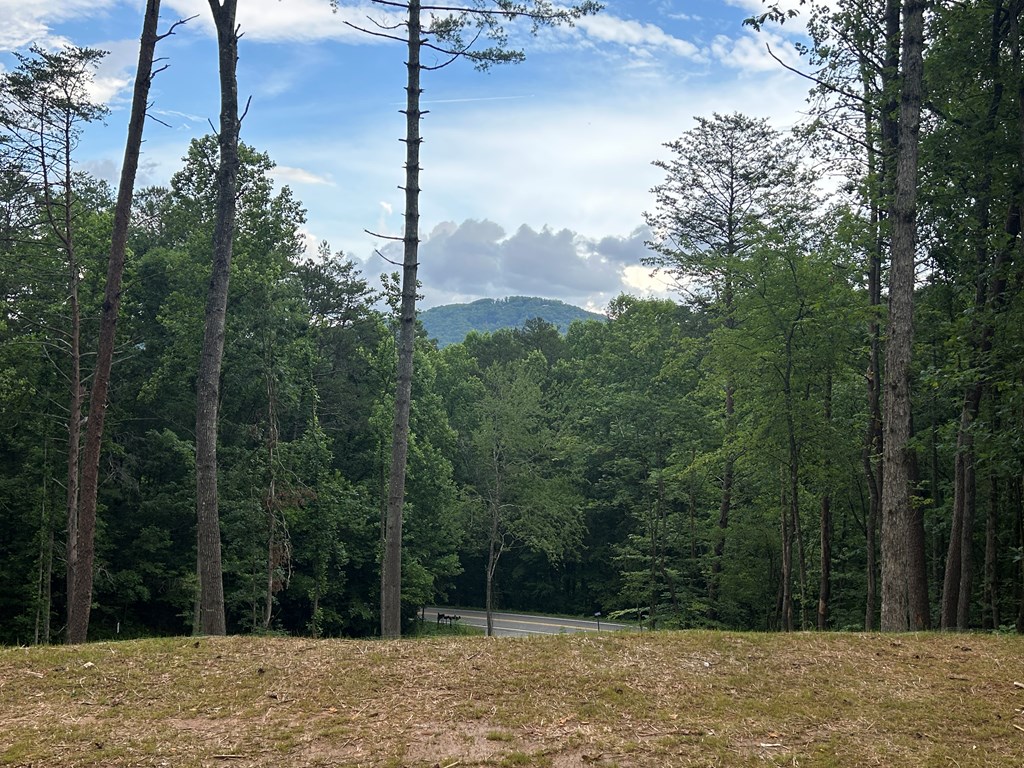 2461 Salem Road Mineral Bluff, GA 30559 - Photo 39 of 86 Kitchen side of Double Fireplace