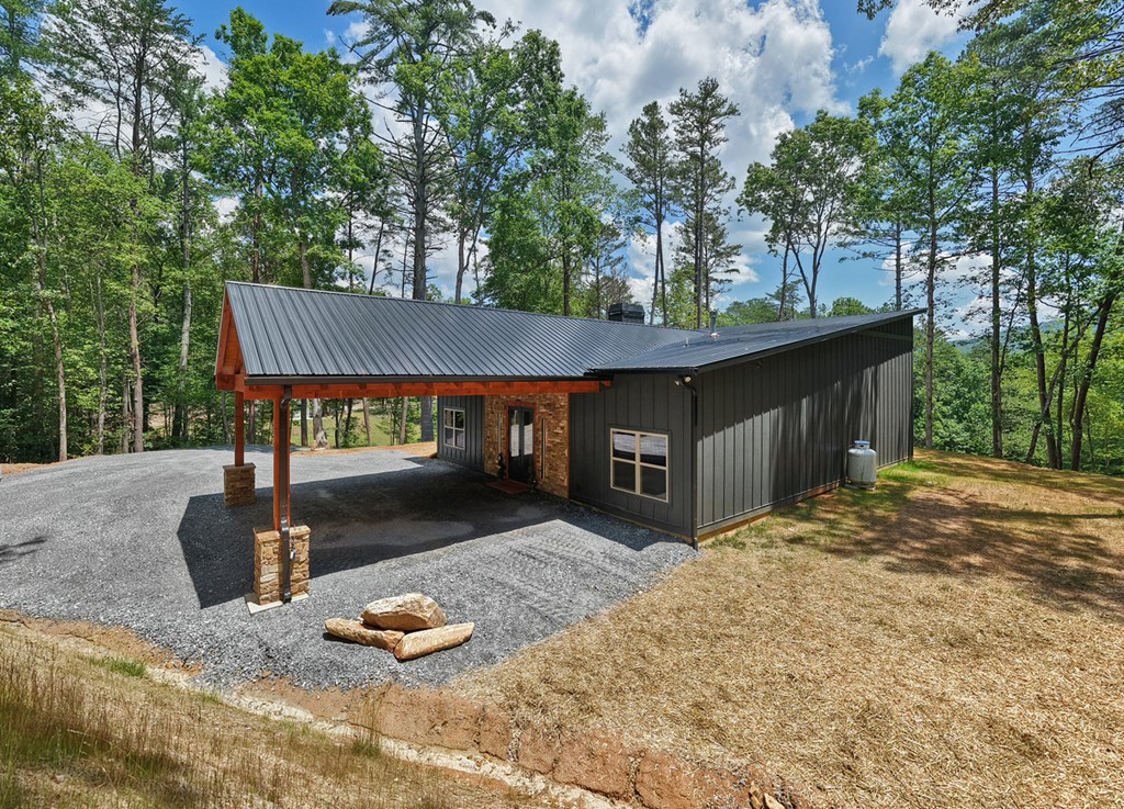 2461 Salem Road Mineral Bluff, GA 30559 - Photo 53 of 86 Side Back Elevation