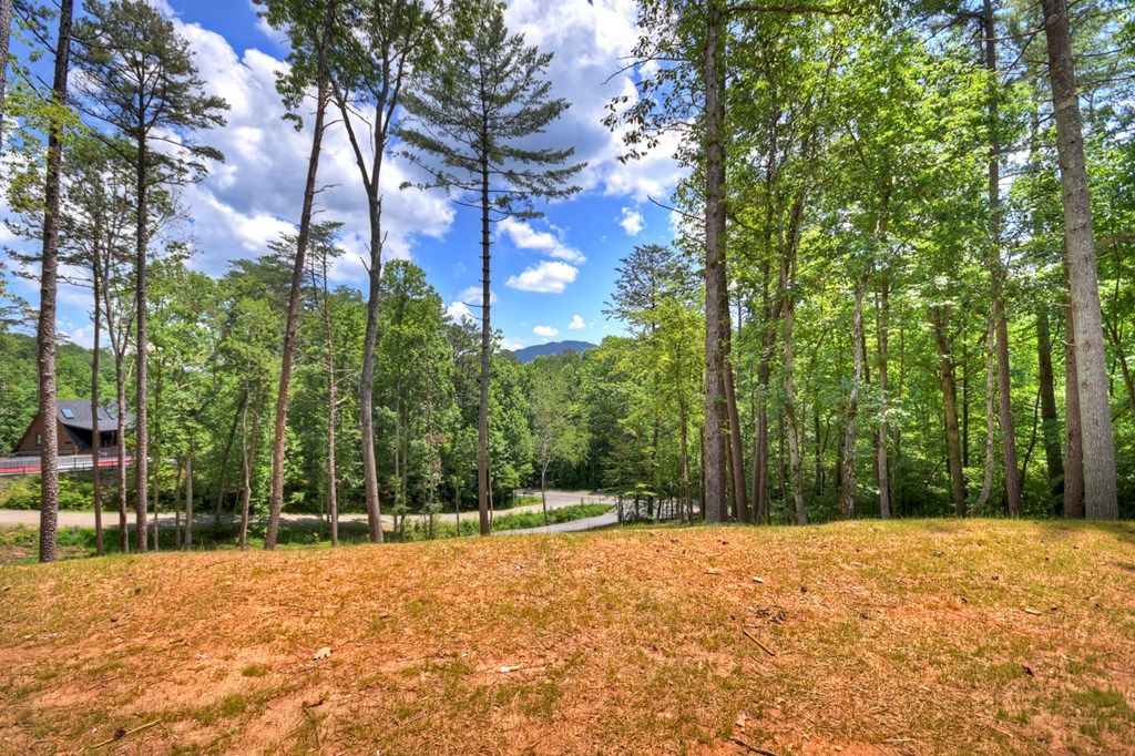 2461 Salem Road Mineral Bluff, GA 30559 - Photo 57 of 86 a backyard of a house with lots of green space and fountain