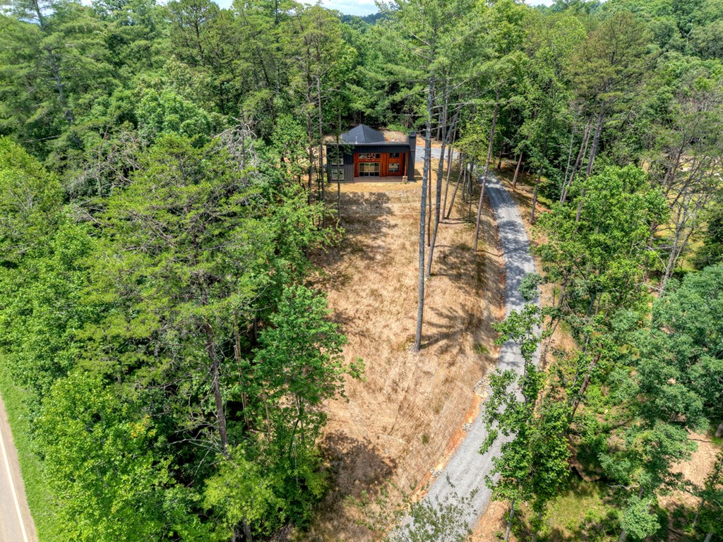 2461 Salem Road Mineral Bluff, GA 30559 - Photo 66 of 86 Ariel View w/Driveway
