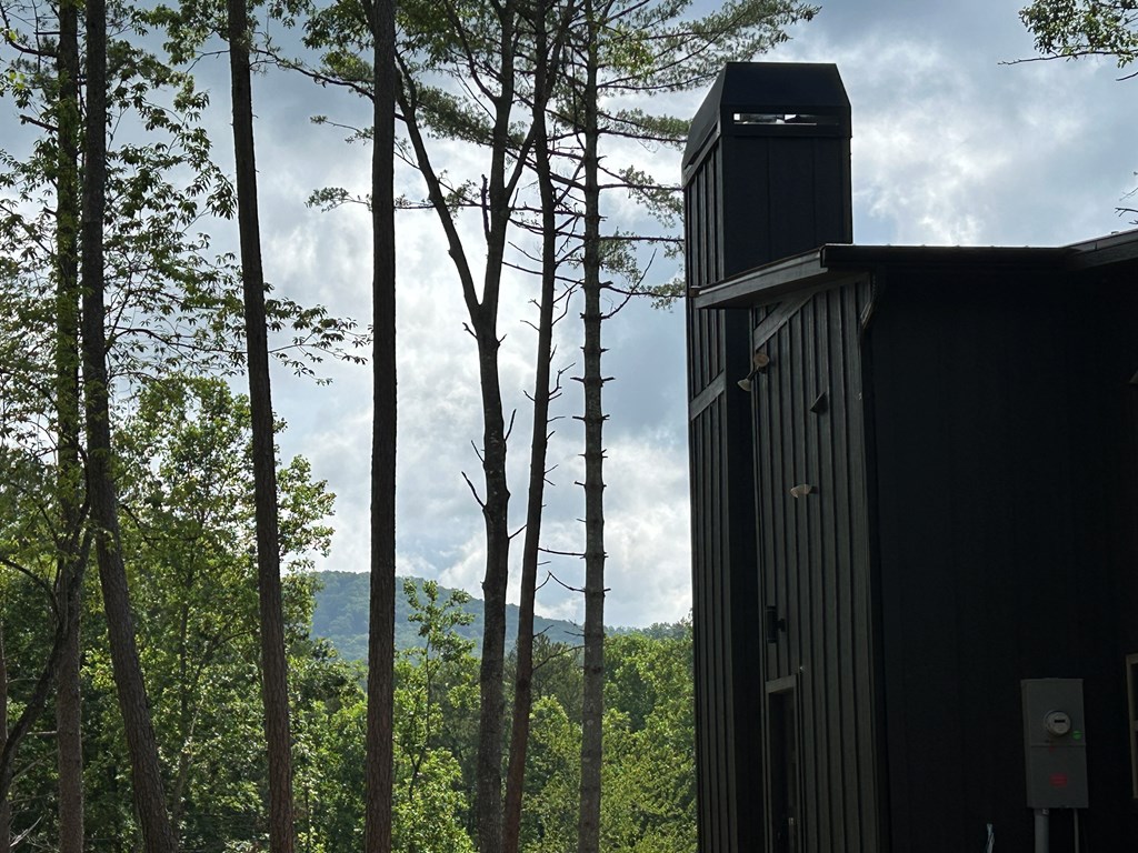 2461 Salem Road Mineral Bluff, GA 30559 - Photo 70 of 86 View from Side Elevation