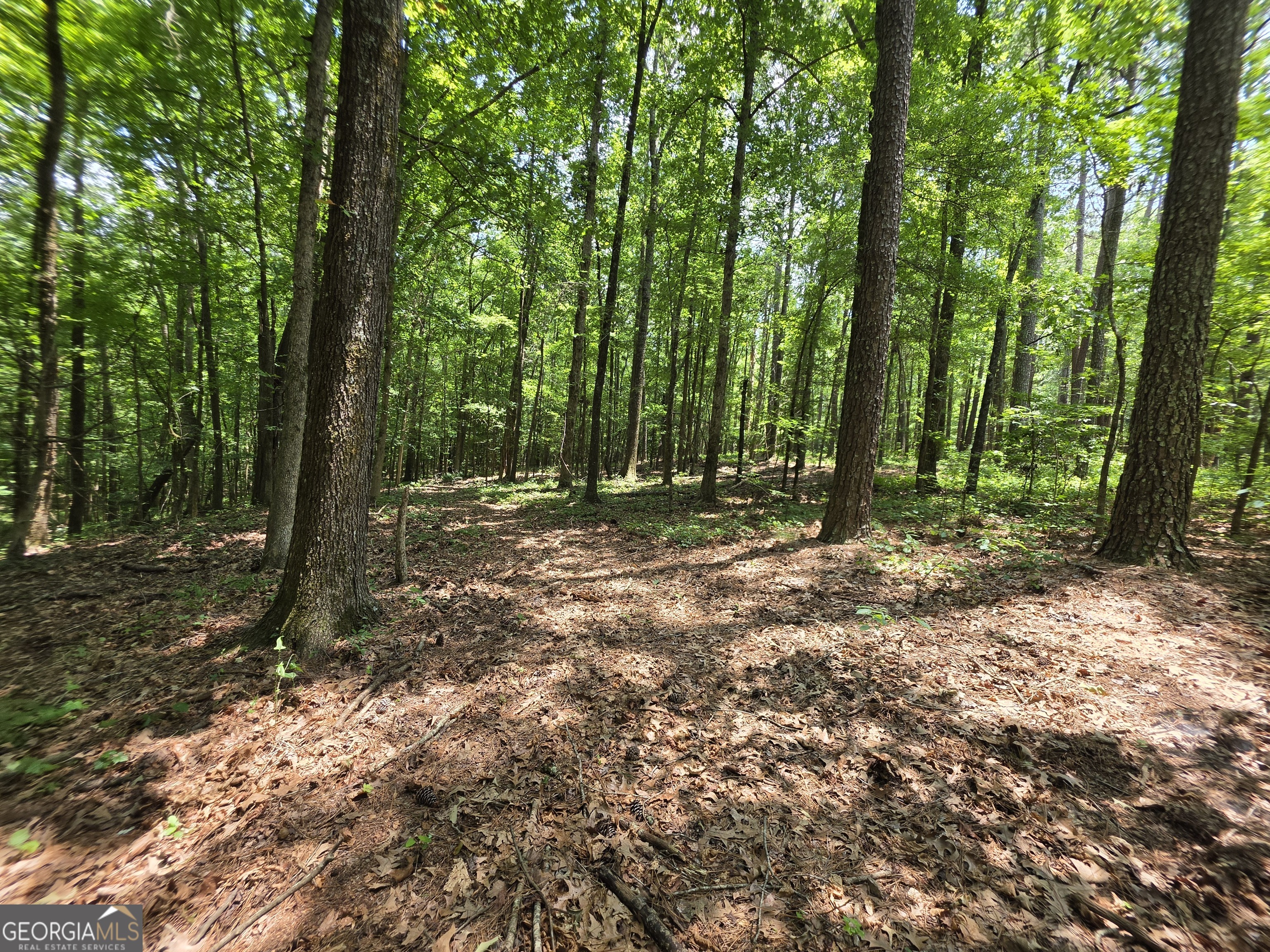 0 Court Ground Washington, GA 30673 - Photo 5 of 46 Gallery Image 5