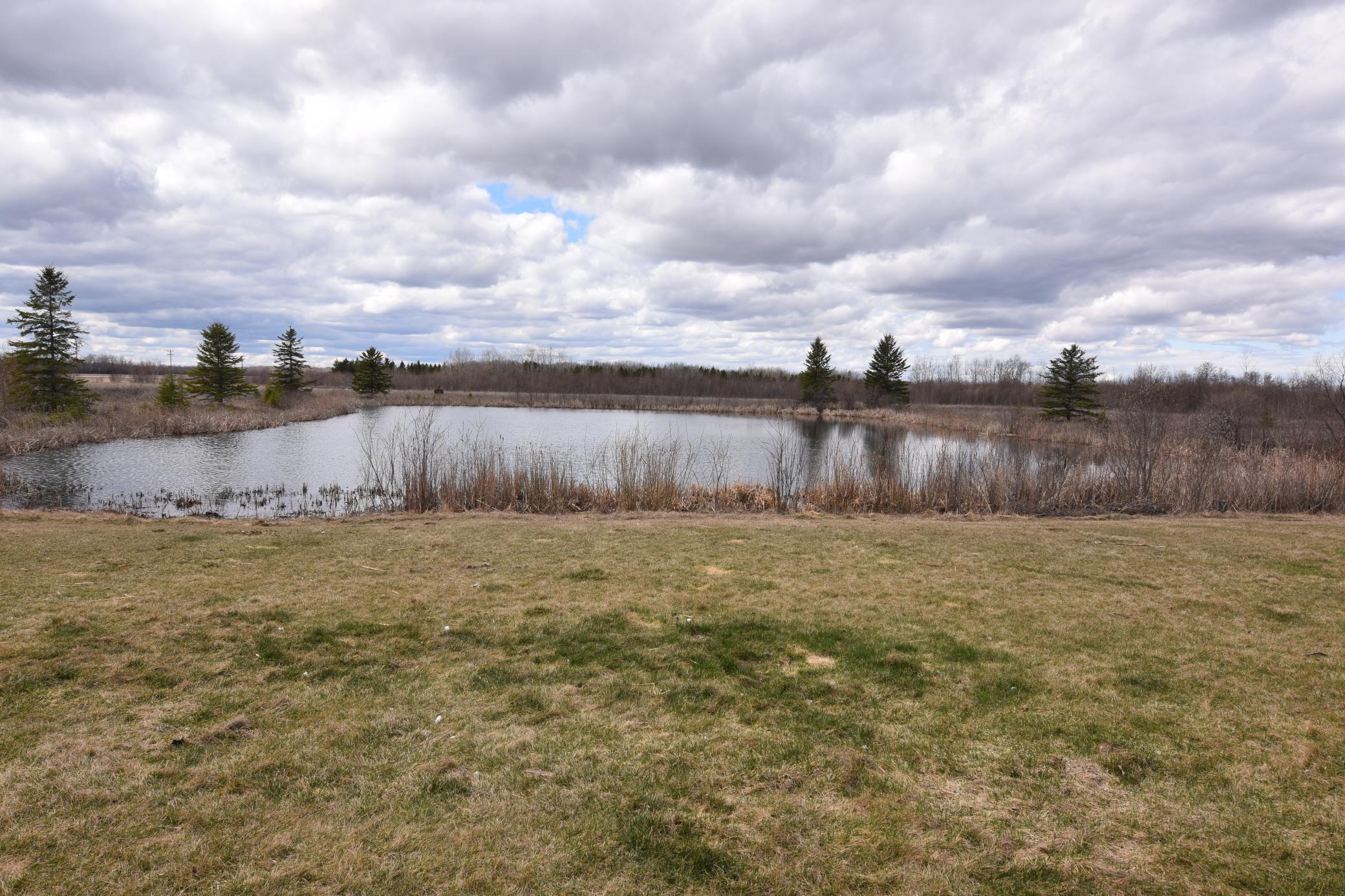 687 County Road 1 Southwest, Unit 4 Baudette, MN 56623 - Photo 3 of 16