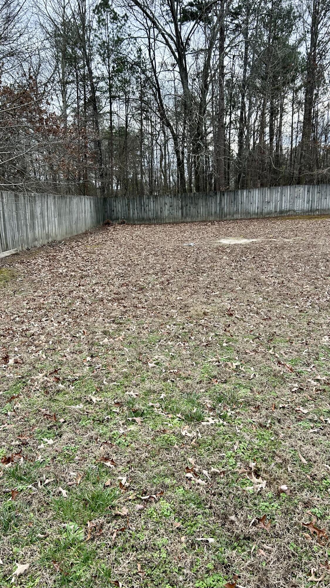 1308 Spring Meadows Drive Ringgold, GA 30736 - Photo 18 of 29 IMG_5301