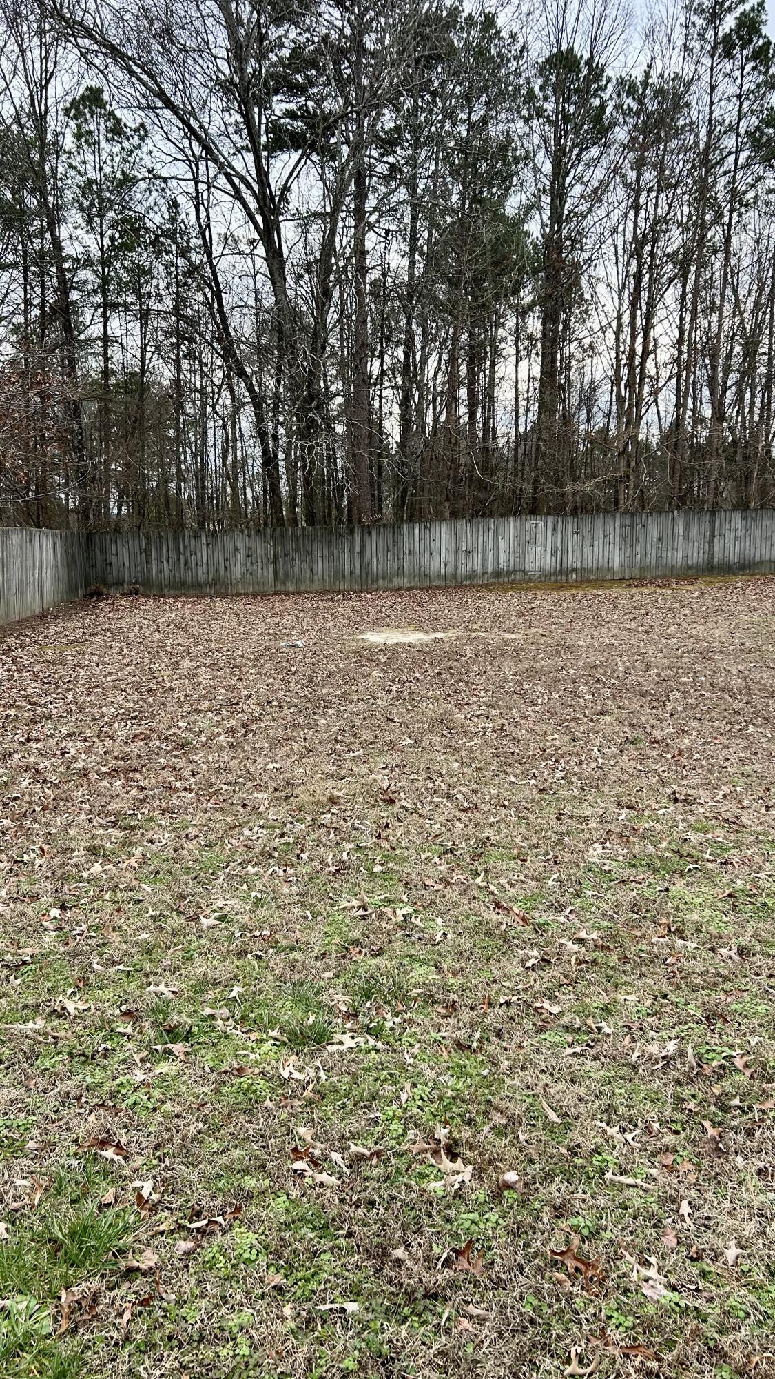 1308 Spring Meadows Drive Ringgold, GA 30736 - Photo 20 of 29 IMG_5299