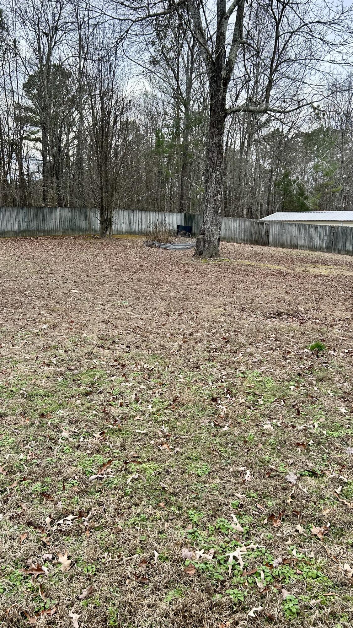 1308 Spring Meadows Drive Ringgold, GA 30736 - Photo 5 of 29 IMG_5306