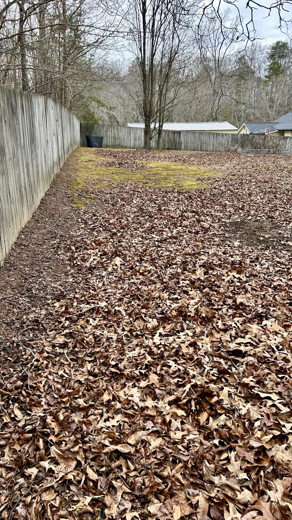 1308 Spring Meadows Drive Ringgold, GA 30736 - Photo 7 of 29 IMG_5294