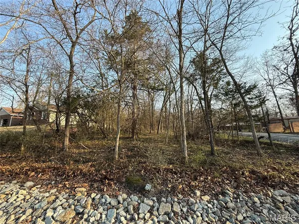 $20,000 | 411 South Deer Trail, Fredericktown, MO 63645