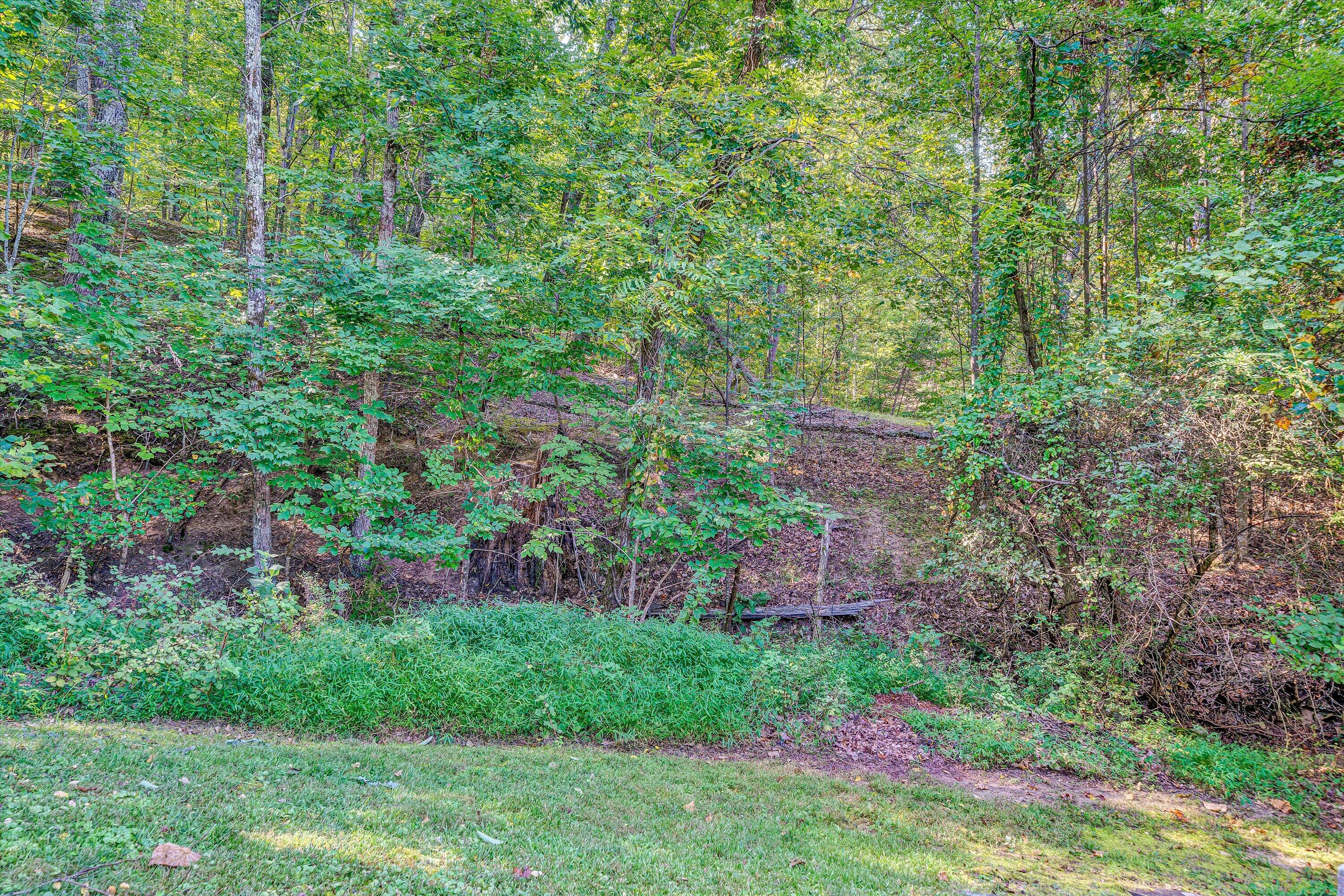 1030 Healing Springs Road Blue Ridge, VA 24064 - Photo 31 of 33 Yard