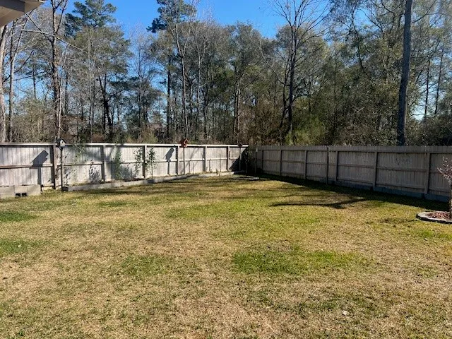 a view of backyard with swimming pool and tree