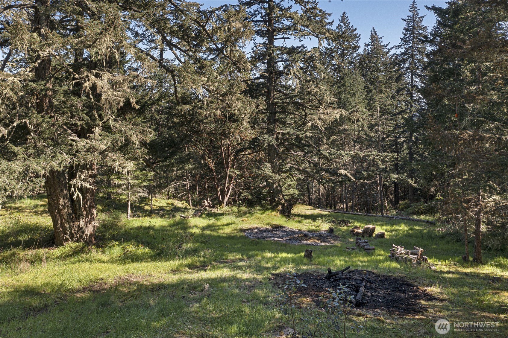 912 Sandwith Road Friday Harbor, WA 98250 - Photo 18 of 23 Gallery Image 18