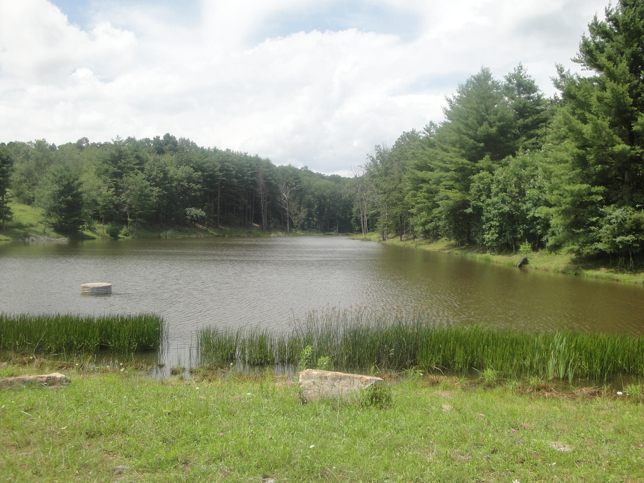 Lot 11 Angus Irvine Road Marlinton, WV 24954 - Photo 1 of 3 Gallery Image 1