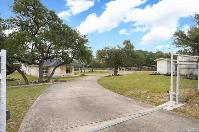 a view of a park with large trees