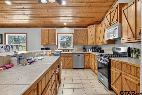 a view of a forest filled with trees