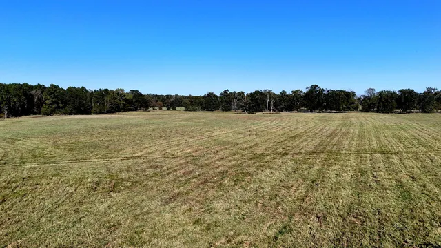 a view of a field with an ocean