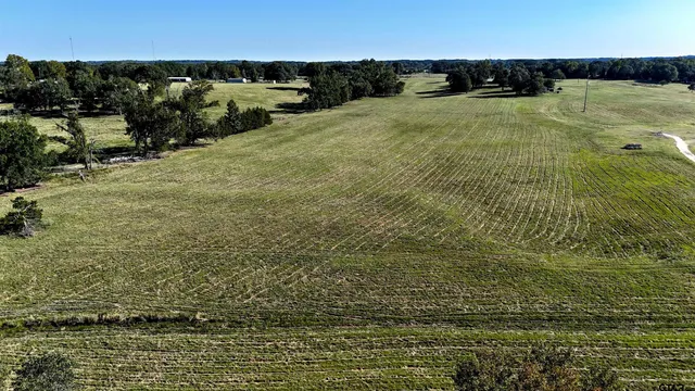 a view of outdoor space with garden