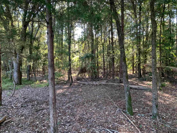 $1,400,000 | 10769 County Road 3519, Murchison, TX 75778