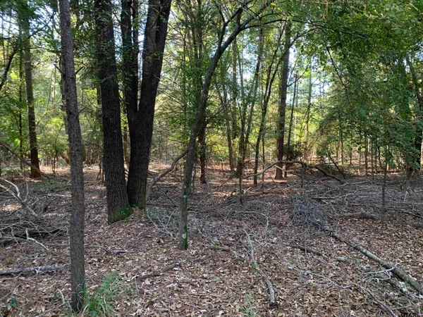 $1,400,000 | 10769 County Road 3519, Murchison, TX 75778