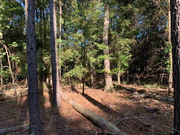 $1,400,000 | 10769 County Road 3519, Murchison, TX 75778