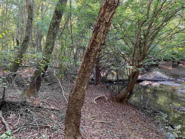 $1,400,000 | 10769 County Road 3519, Murchison, TX 75778