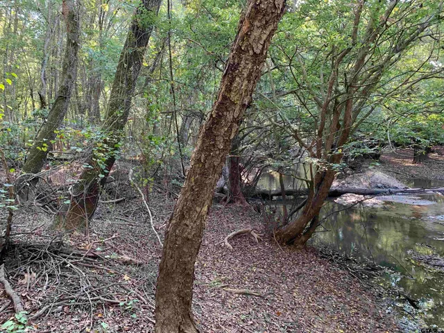 a view of outdoor space with trees