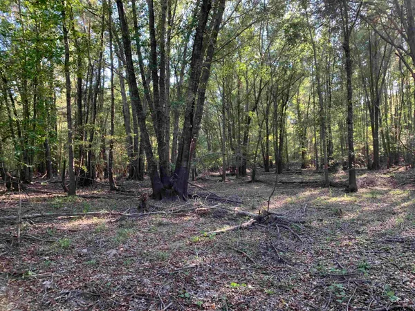 $1,400,000 | 10769 County Road 3519, Murchison, TX 75778